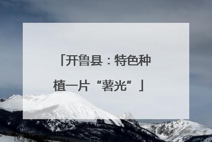 开鲁县：特色种植一片“薯光”