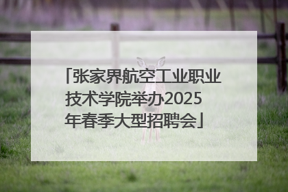 张家界航空工业职业技术学院举办2025年春季大型招聘会