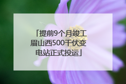 提前9个月竣工 眉山西500千伏变电站正式投运