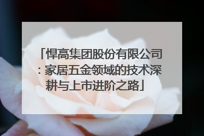 悍高集团股份有限公司：家居五金领域的技术深耕与上市进阶之路