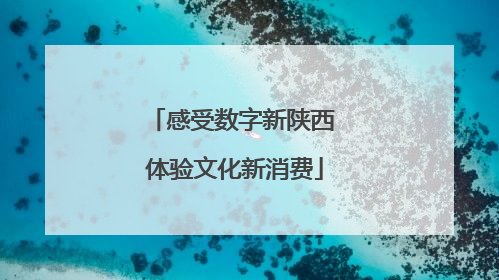 感受数字新陕西 体验文化新消费