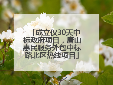 成立仅30天中标政府项目，唐山惠民服务外包中标路北区热线项目