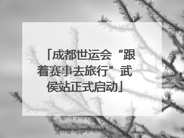 成都世运会“跟着赛事去旅行”武侯站正式启动
