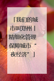 我们的城市叫郑州丨精细化管理保障城市“夜经济”