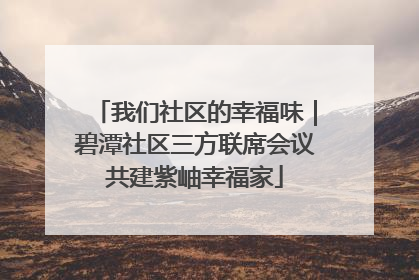 我们社区的幸福味｜碧潭社区三方联席会议共建紫岫幸福家