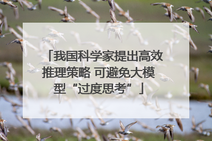 我国科学家提出高效推理策略 可避免大模型“过度思考”