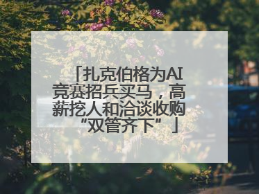 扎克伯格为AI竞赛招兵买马，高薪挖人和洽谈收购“双管齐下”