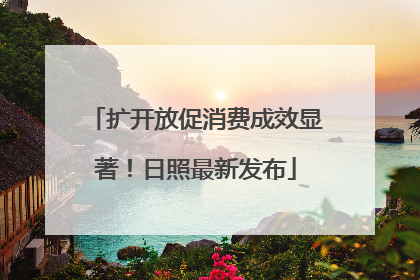 扩开放促消费成效显著！日照最新发布