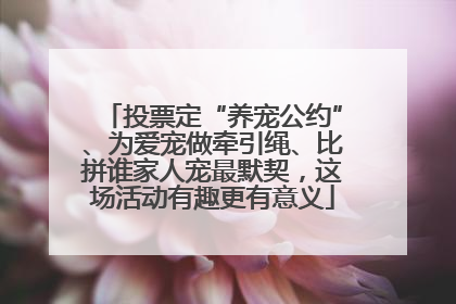 投票定“养宠公约”、为爱宠做牵引绳、比拼谁家人宠最默契，这场活动有趣更有意义