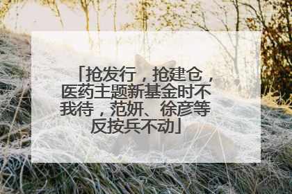 抢发行，抢建仓，医药主题新基金时不我待，范妍、徐彦等反按兵不动
