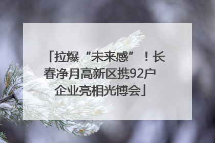拉爆“未来感”！长春净月高新区携92户企业亮相光博会