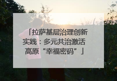 拉萨基层治理创新实践：多元共治激活高原“幸福密码”