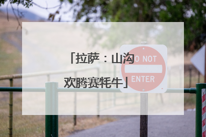拉萨：山沟欢腾赛牦牛