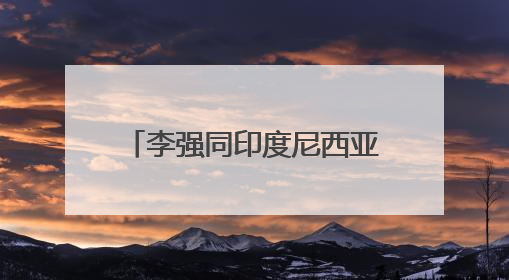 李强同印度尼西亚总统普拉博沃会谈