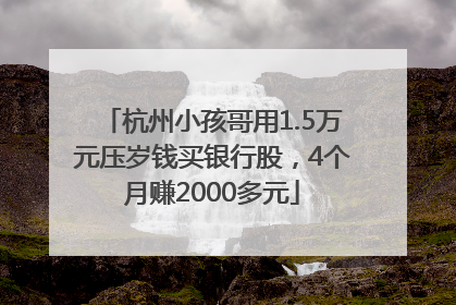 杭州小孩哥用1.5万元压岁钱买银行股，4个月赚2000多元