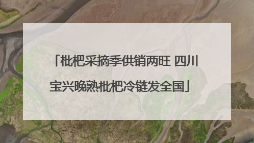 枇杷采摘季供销两旺 四川宝兴晚熟枇杷冷链发全国