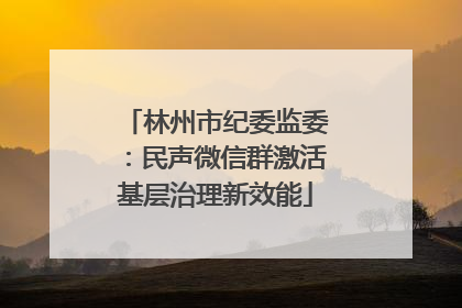 林州市纪委监委：民声微信群激活基层治理新效能