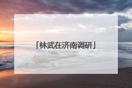 林武在济南调研