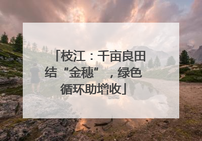 枝江：千亩良田结“金穗”，绿色循环助增收