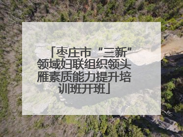 枣庄市“三新”领域妇联组织领头雁素质能力提升培训班开班