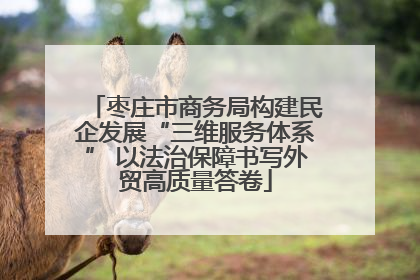 枣庄市商务局构建民企发展“三维服务体系” 以法治保障书写外贸高质量答卷
