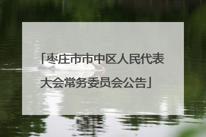 枣庄市市中区人民代表大会常务委员会公告