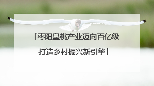 枣阳皇桃产业迈向百亿级 打造乡村振兴新引擎