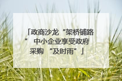 政商沙龙“架桥铺路” 中小企业享受政府采购 “及时雨”