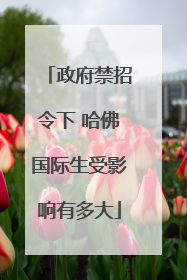 政府禁招令下 哈佛国际生受影响有多大
