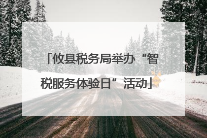 攸县税务局举办“智税服务体验日”活动