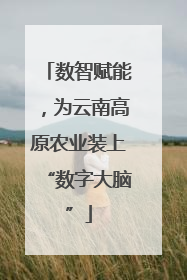 数智赋能，为云南高原农业装上“数字大脑”