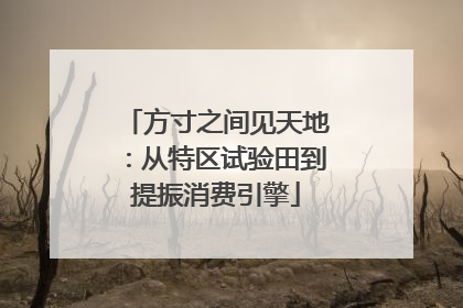 方寸之间见天地：从特区试验田到提振消费引擎