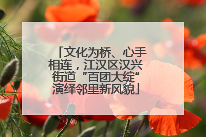 文化为桥、心手相连，江汉区汉兴街道“百团大绽”演绎邻里新风貌