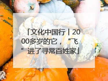 文化中国行丨2000多岁的它，“飞”进了寻常百姓家