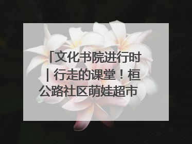 文化书院进行时｜行走的课堂！桓公路社区萌娃超市探索之旅