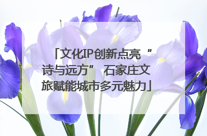 文化IP创新点亮“诗与远方” 石家庄文旅赋能城市多元魅力