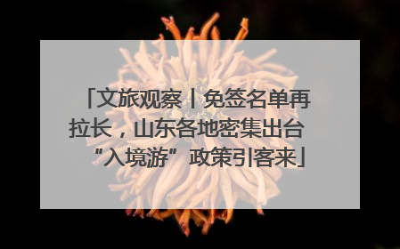 文旅观察丨免签名单再拉长，山东各地密集出台“入境游”政策引客来