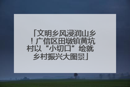文明乡风浸润山乡！广信区田墩镇黄坑村以“小切口”绘就乡村振兴大图景