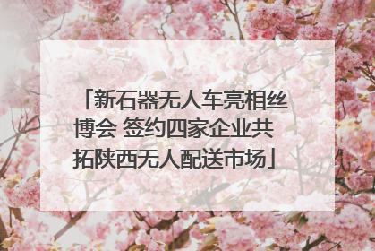 新石器无人车亮相丝博会 签约四家企业共拓陕西无人配送市场