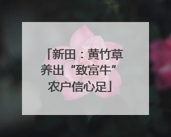 新田：黄竹草养出“致富牛” 农户信心足