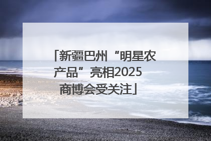 新疆巴州“明星农产品”亮相2025商博会受关注