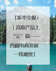 新华全媒+｜高原产品上“云”端——西藏电商发展一线观察