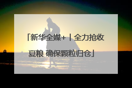 新华全媒+丨全力抢收夏粮 确保颗粒归仓