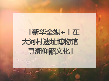 新华全媒+丨在大河村遗址博物馆寻溯仰韶文化