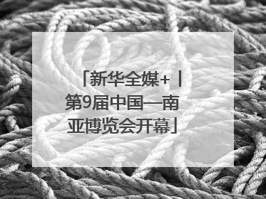 新华全媒+丨第9届中国—南亚博览会开幕