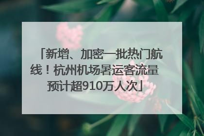 新增、加密一批热门航线！杭州机场暑运客流量预计超910万人次
