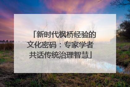 新时代枫桥经验的文化密码：专家学者共话传统治理智慧