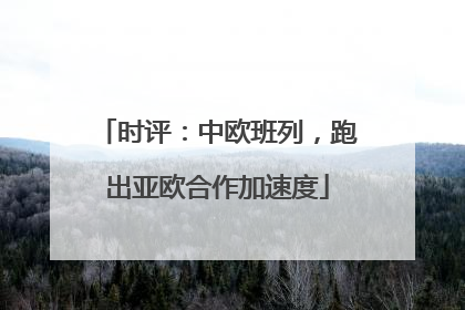 时评：中欧班列，跑出亚欧合作加速度