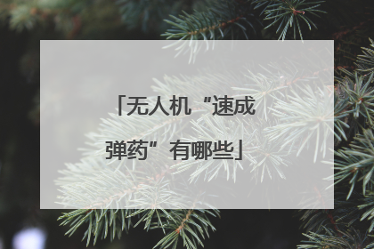 无人机“速成弹药”有哪些