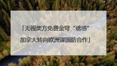 无视美方免费金穹“诱惑” 加拿大转向欧洲谋国防合作